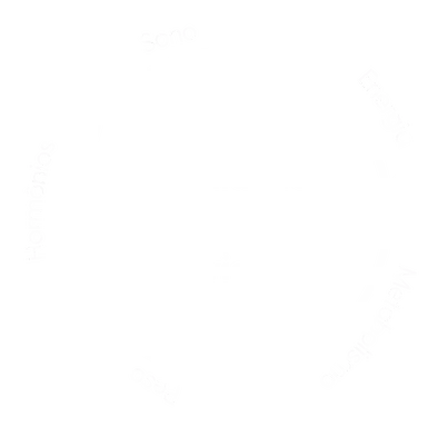 Ciclo de Qualidade de Vida